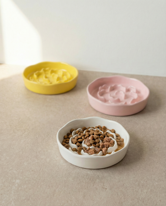 Gamelle Anti-Glouton SlowBowl