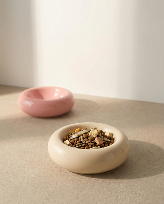 Gamelle en Céramique CozyBowl