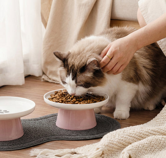 Gamelle Plate en Céramique FlatServe