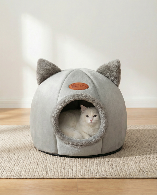 Maison CoconCat