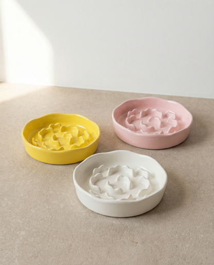 Gamelle Anti-Glouton SlowBowl