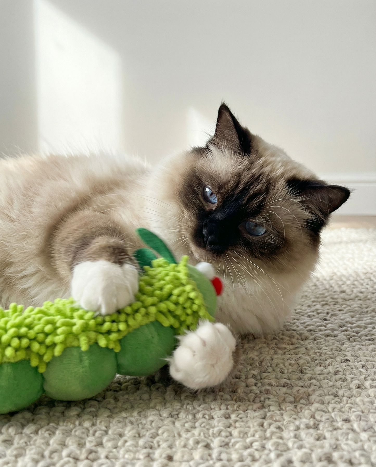 Jouet Peluche GreenBuddy