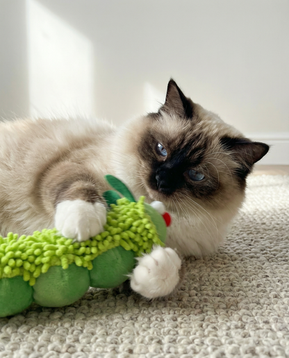 Jouet Peluche GreenBuddy