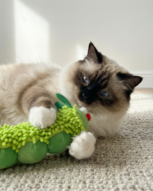 Jouet Peluche GreenBuddy
