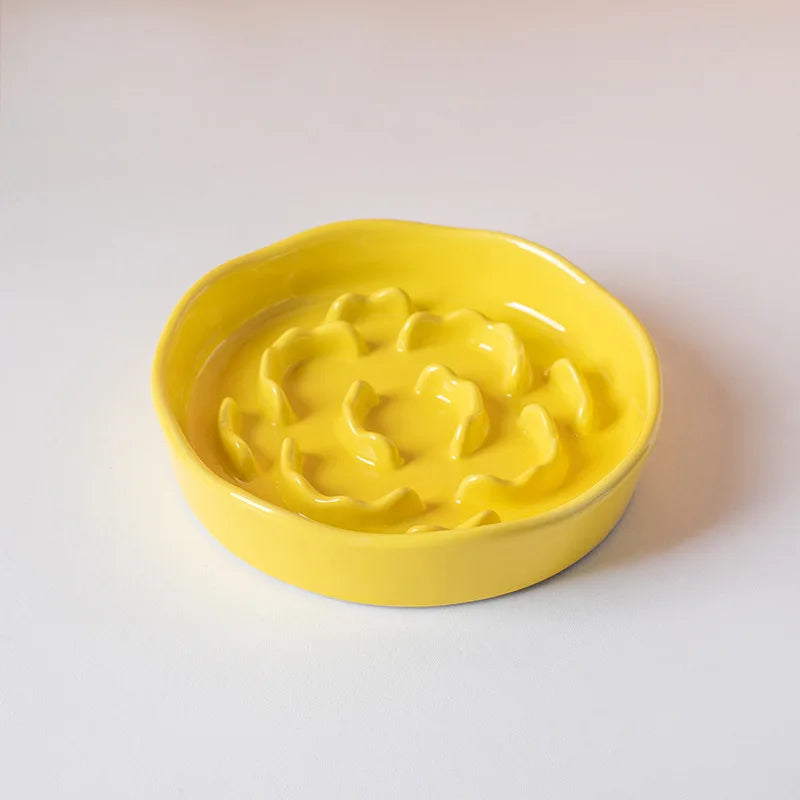 Gamelle Anti-Glouton SlowBowl