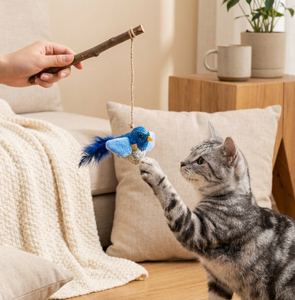 Jouet Oiseau Sonore FeatherPlay