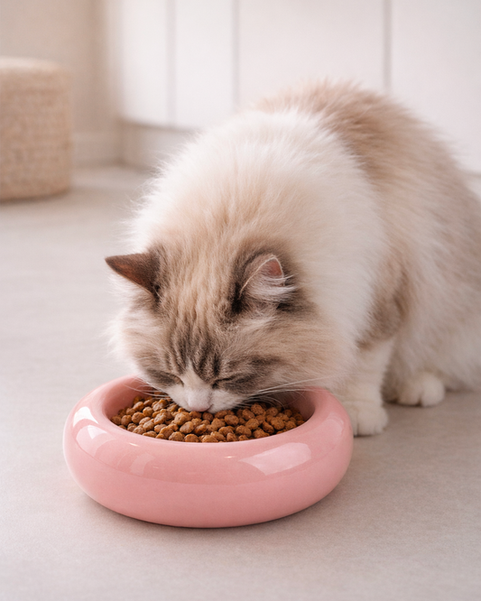 Gamelle en Céramique CozyBowl