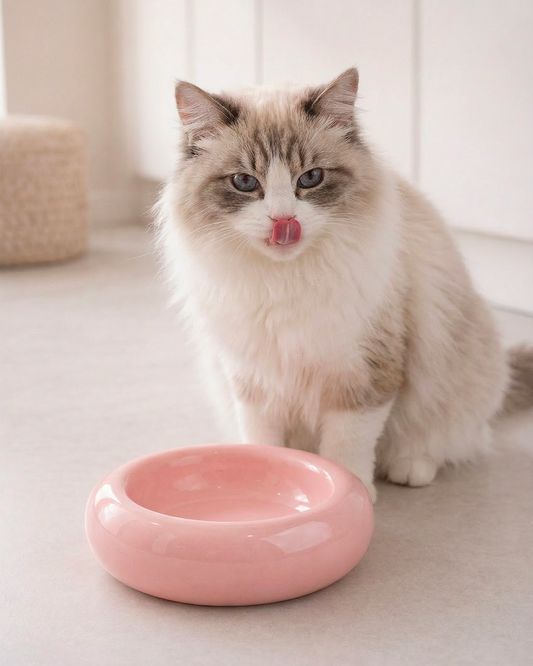 Gamelle en Céramique CozyBowl