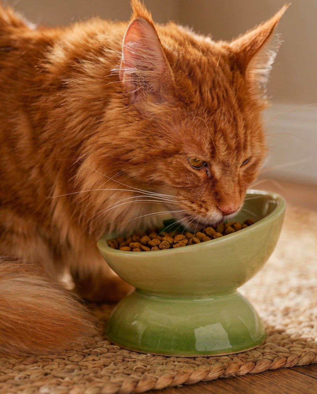 Gamelle Haute en Céramique AuraBowl