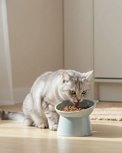 Gamelle Ergonomique TiltBowl